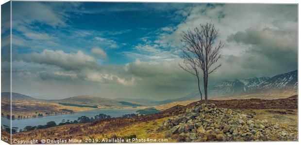 Lone Tree on Màm Carraigh, Overlooking Loch Tulla Canvas Print by Douglas Milne