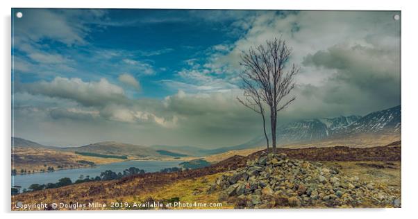 Lone Tree on Màm Carraigh, Overlooking Loch Tulla Acrylic by Douglas Milne