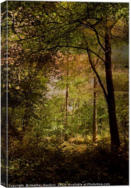 Deep Woods Canvas Print by Heather Goodwin