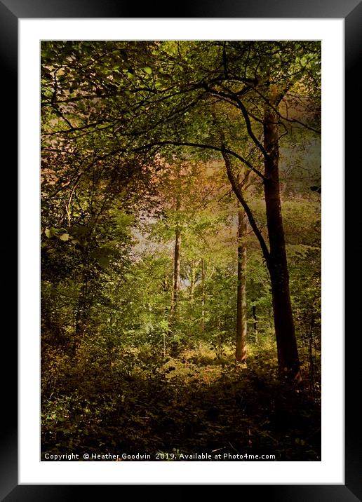 Deep Woods Framed Mounted Print by Heather Goodwin