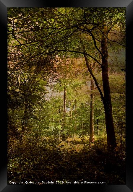 Deep Woods Framed Print by Heather Goodwin