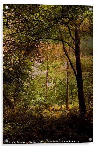 Deep Woods Acrylic by Heather Goodwin