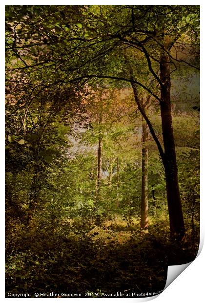 Deep Woods Print by Heather Goodwin