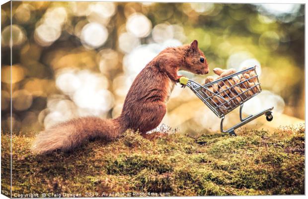 Shopping Red Squirrel Canvas Print by Craig Doogan