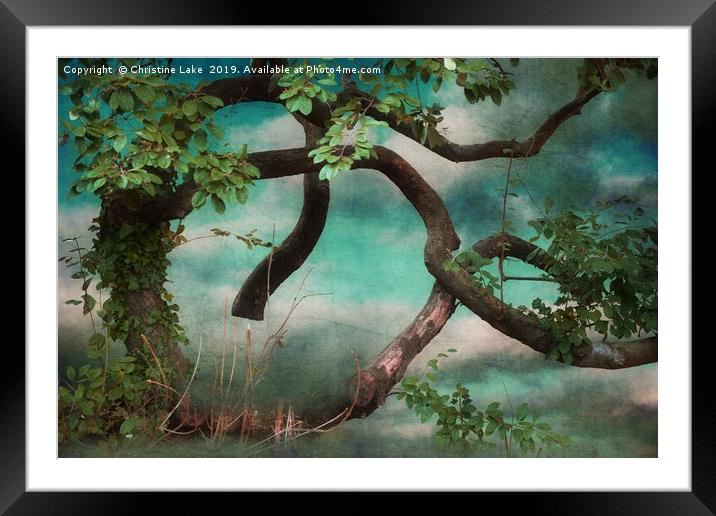 Woodland Fantasy Framed Mounted Print by Christine Lake