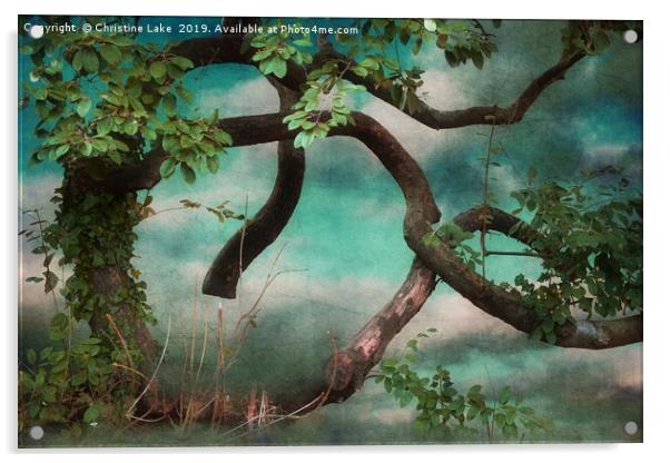 Woodland Fantasy Acrylic by Christine Lake
