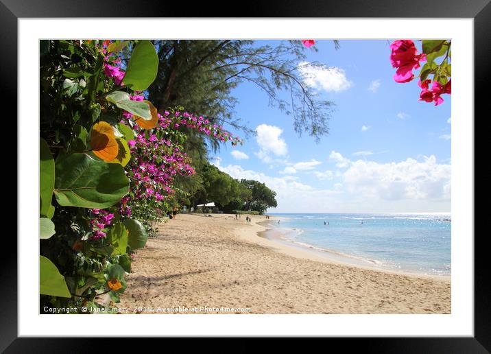 The Platinum Coast, Barbados Framed Mounted Print by Jane Emery