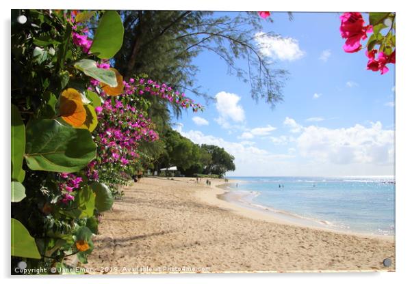 The Platinum Coast, Barbados Acrylic by Jane Emery