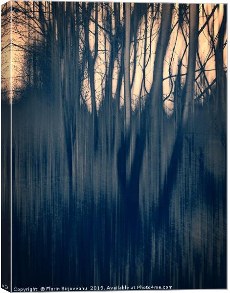 Tinted Woods Bw Canvas Print by Florin Birjoveanu