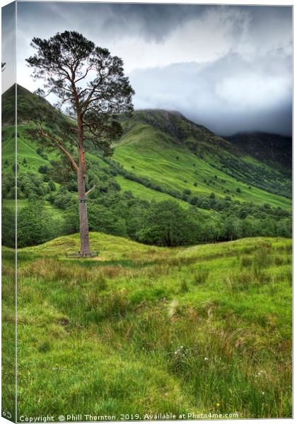 The foot hills of Ben Nevis Canvas Print by Phill Thornton