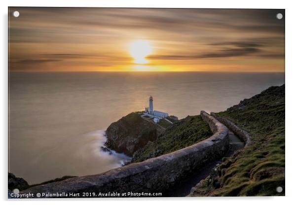Sunset at South Stack Lighthouse Acrylic by Palombella Hart