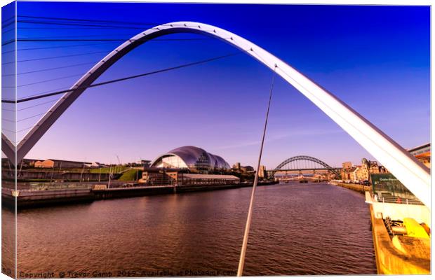 Tyne Arches Canvas Print by Trevor Camp