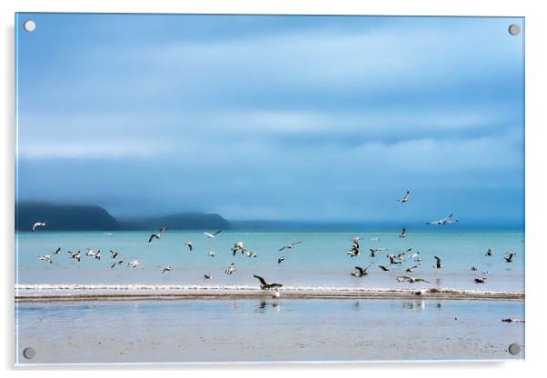Seagulls at Low Spring Tide - Lyme Regis Acrylic by Susie Peek