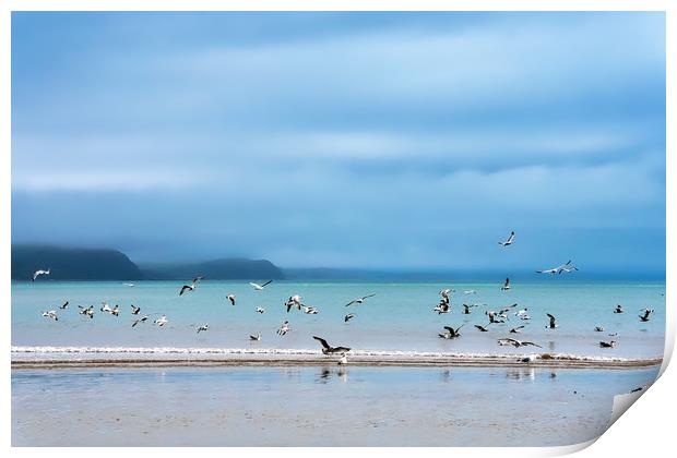 Seagulls at Low Spring Tide - Lyme Regis Print by Susie Peek
