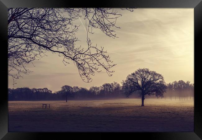 Hazy Morning Framed Print by Svetlana Sewell