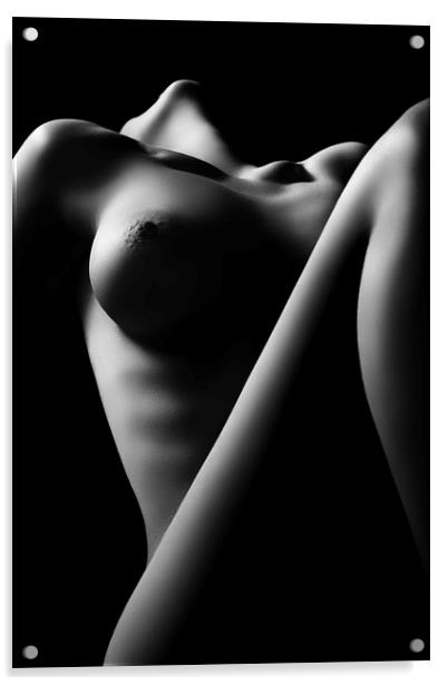 Nude woman bodyscape 16 Acrylic by Johan Swanepoel