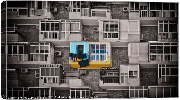 A Room With A View Canvas Print by David Pacey