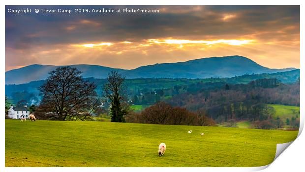 Lake District Sunny Interval Print by Trevor Camp