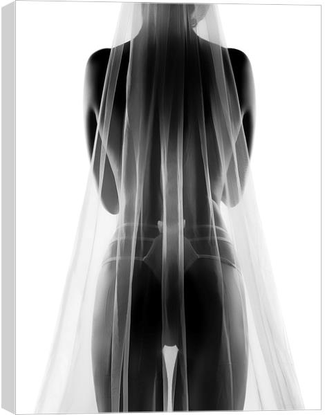 Sensual bride in lingerie Canvas Print by Johan Swanepoel