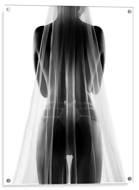 Sensual bride in lingerie Acrylic by Johan Swanepoel