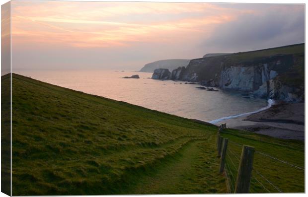 View to Ayrmer Cove Canvas Print by David Neighbour