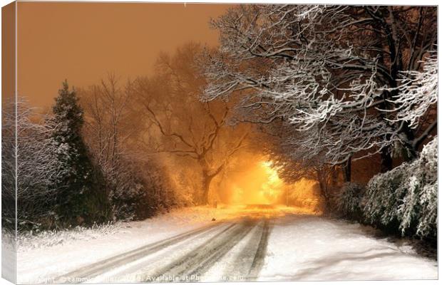 Fiery Winter Drive Canvas Print by tammy mellor