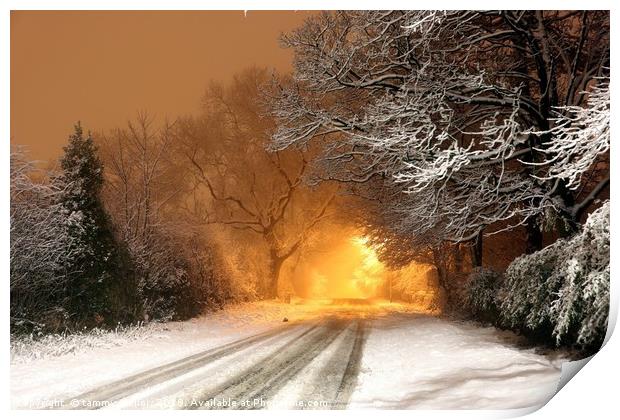 Fiery Winter Drive Print by tammy mellor