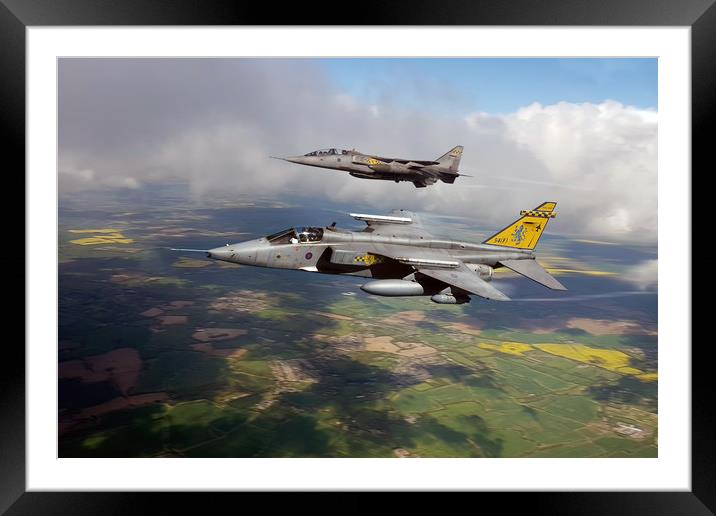 54 Squadron Cats Framed Mounted Print by J Biggadike