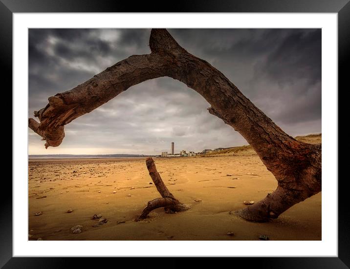 Driftwood on Swansea Bay Framed Mounted Print by Leighton Collins