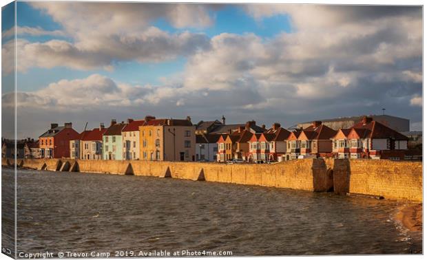 Hartlepool Town Wall Canvas Print by Trevor Camp