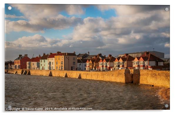 Hartlepool Town Wall Acrylic by Trevor Camp