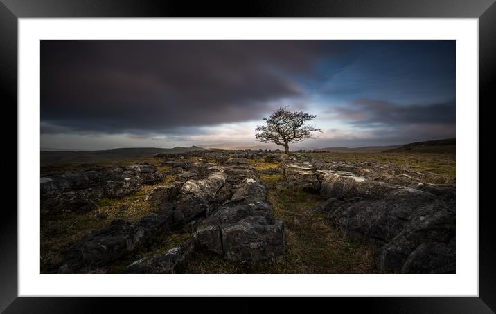 Lone Tree at Sunrise Framed Mounted Print by George Robertson