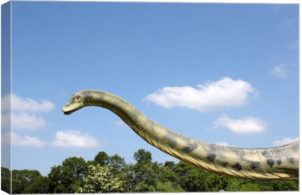 long neck brontosaurus dinosaur Canvas Print by goce risteski