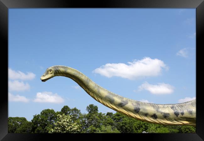 long neck brontosaurus dinosaur Framed Print by goce risteski