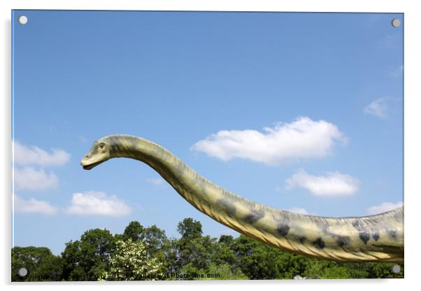 long neck brontosaurus dinosaur Acrylic by goce risteski