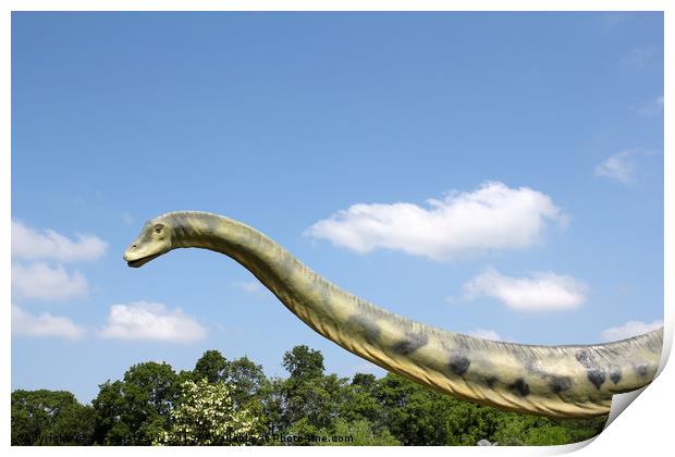 long neck brontosaurus dinosaur Print by goce risteski