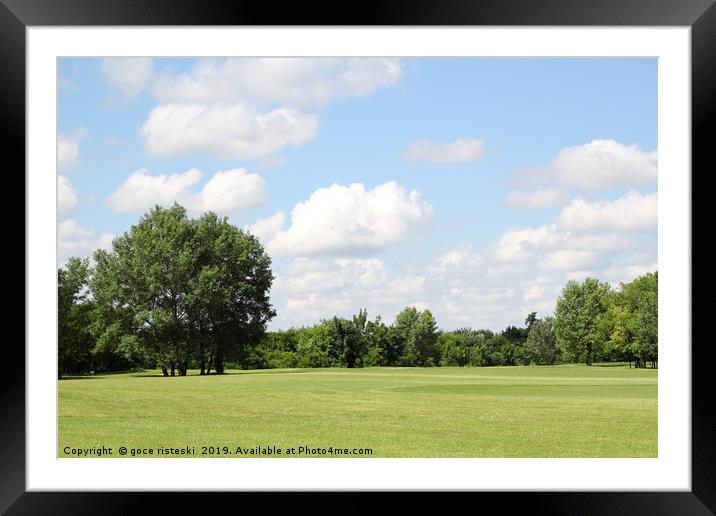 green lawn and tree summer landscape Framed Mounted Print by goce risteski