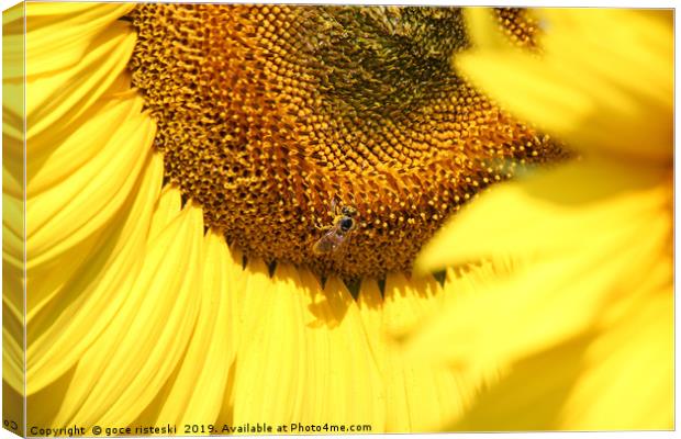 sunflower and bee summer scene Canvas Print by goce risteski