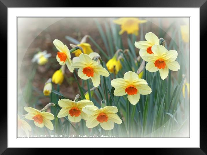 "Springtime" Framed Mounted Print by ROS RIDLEY
