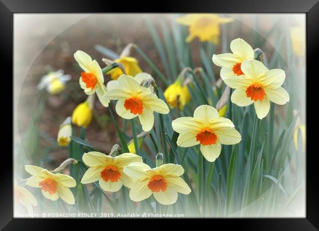 "Springtime" Framed Print by ROS RIDLEY