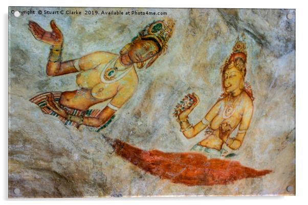 Sigiriya damsels Acrylic by Stuart C Clarke