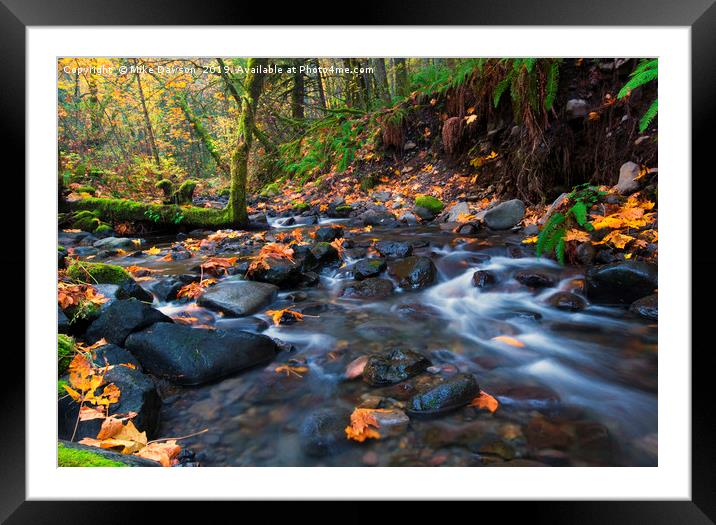 Autumn Canyon Framed Mounted Print by Mike Dawson