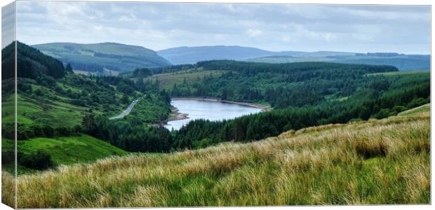 Cantref Reservoir Brecon Beacons Canvas Print by Diana Mower