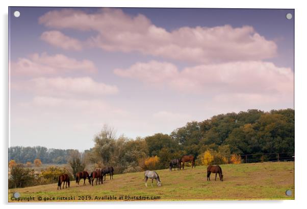 horses in pasture autumn scene Acrylic by goce risteski