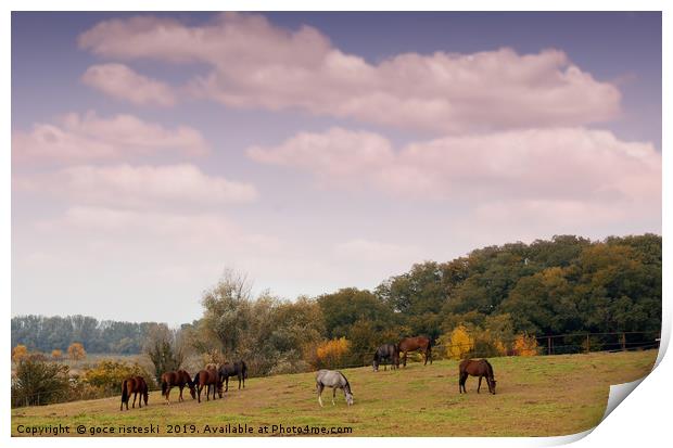 horses in pasture autumn scene Print by goce risteski