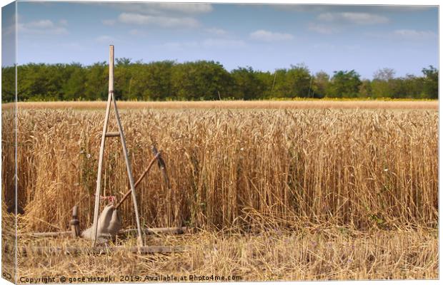 wheat field with old wooden rake Canvas Print by goce risteski