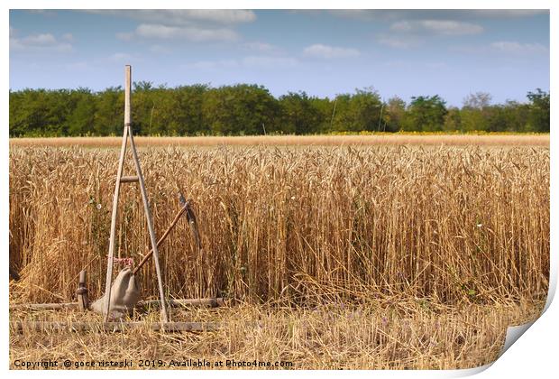 wheat field with old wooden rake Print by goce risteski