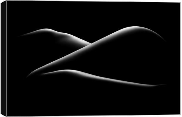 Nude woman bodyscape 17 Canvas Print by Johan Swanepoel
