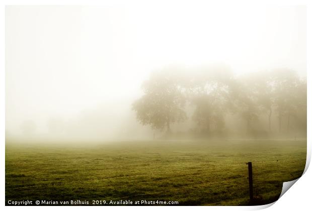 Trees in the morning mist Print by Marian van Bolhuis