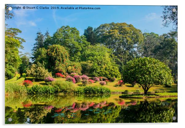 Botanic Gardens Acrylic by Stuart C Clarke
